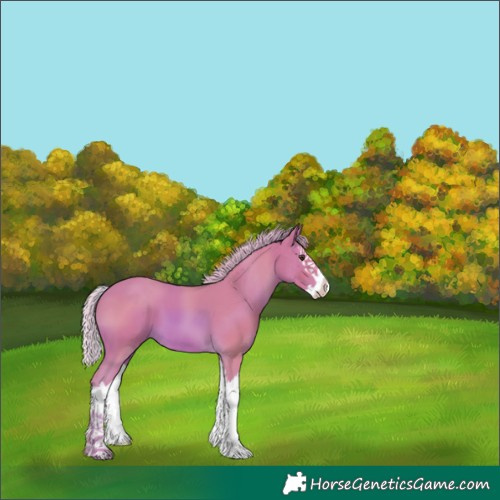Horse Color:Watercolor Chestnut Splash 