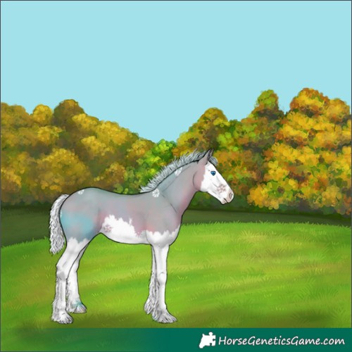 Horse Color:Watercolor White Spotted Silver Bay Dun Splash 