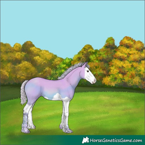 Horse Color:Watercolor Red Dun Splash 