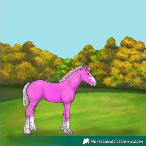 Horse Color:Watercolor Silver Bay 