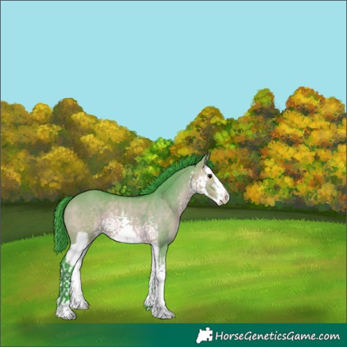 Horse Color:Watercolor White Spotted Bay Dun 