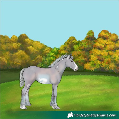 Horse Color:Watercolor Chestnut Frame 
