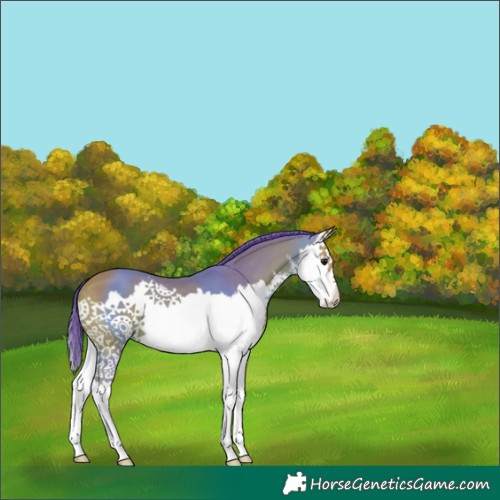Horse Color:Watercolor White Spotted Bay Splash 