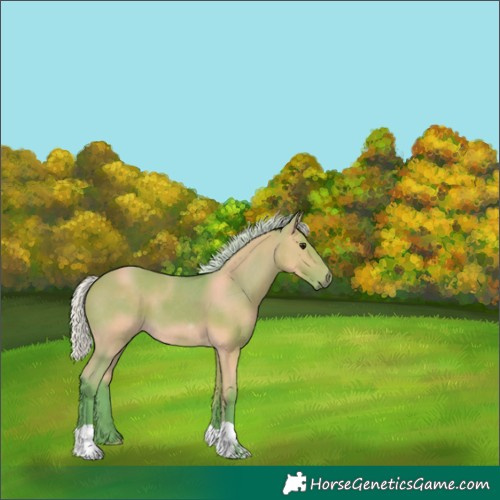 Horse Color:Watercolor Silver Bay 