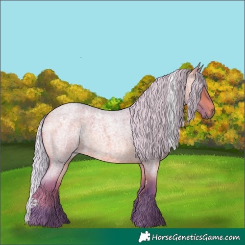 Horse Color:Watercolor Silver Bay Roan 