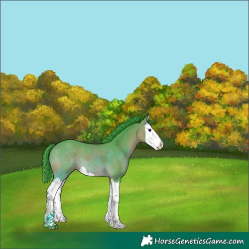 Horse Color:Watercolor White Spotted Bay Splash 