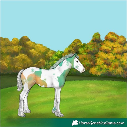 Horse Color:Watercolor White Spotted Silver Brown Splash Tobiano 