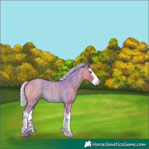 Horse Color:Watercolor Silver Bay Roan Splash 