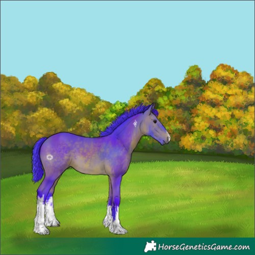 Horse Color:Watercolor White Spotted Bay 