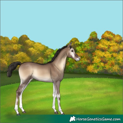 Horse Color:Liver Red Dun Onyx Tobiano Rabicano 