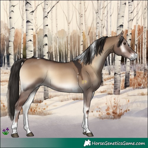 Horse Color:Liver Red Dun Onyx Tobiano Rabicano 