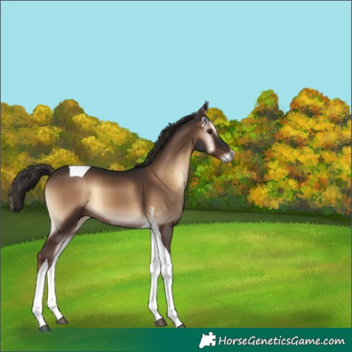 Horse Color:Liver Red Onyx Tobiano 