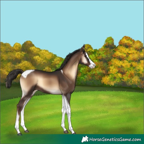 Horse Color:Liver Red Onyx Splash Tobiano 
