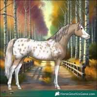 Horse Color:Chocolate Palomino Dun Splash Blanket 