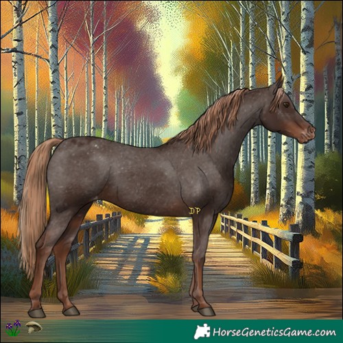 Horse Color:Liver Chestnut Varnish Rabicano 