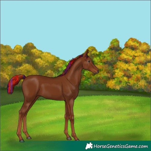 Horse Color:Gray Painted Chestnut 