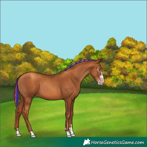 Horse Color:Gray Painted Gold Champagne 