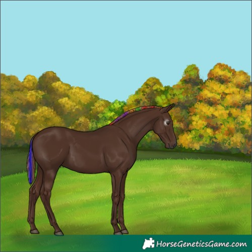 Horse Color:Gray Painted Chestnut 