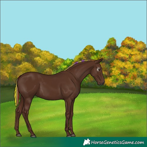Horse Color:Gray Painted Chestnut 