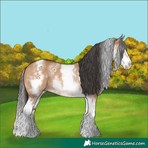Horse Color:White Spotted Bay Dun Splash Rabicano 