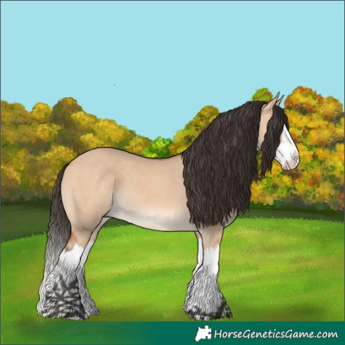Horse Color:White Spotted Bay Dun Splash 