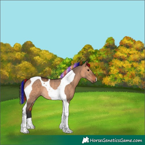 Horse Color:Painted Bay Dun Tobiano Rabicano 