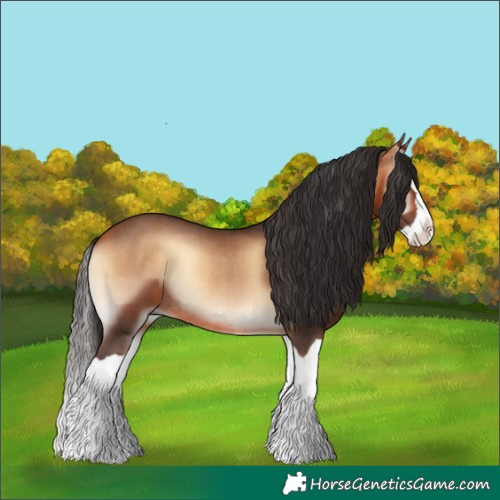 Horse Color:Bay Onyx Splash Rabicano 
