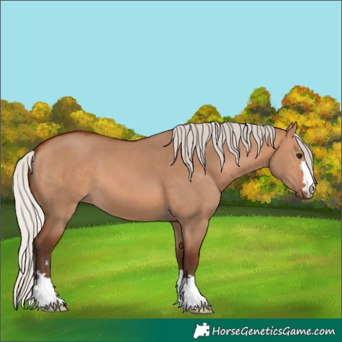 Horse Color:Silver Bay Dun 