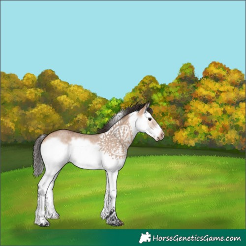 Horse Color:White Spotted Bay Roan Dun Splash Frame 