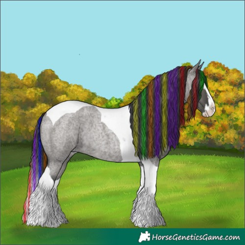 Horse Color:Painted Grullo Roan Splash Tobiano Rabicano 