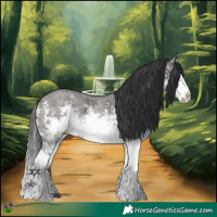 Horse Color:White Spotted Grullo Sabino Splash Rabicano