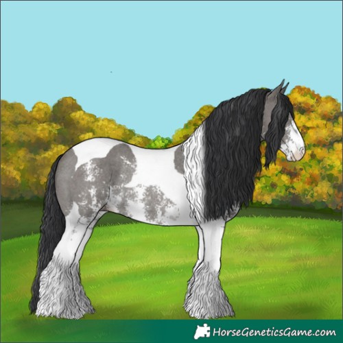 Horse Color:Grullo Sabino Tobiano Rabicano 