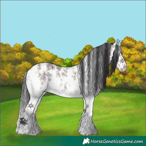 Horse Color:Grullo Sabino Splash Rabicano 