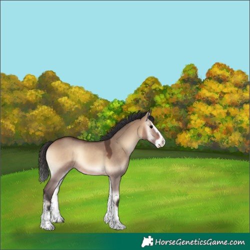 Horse Color:Brown Onyx Sabino Splash Rabicano 
