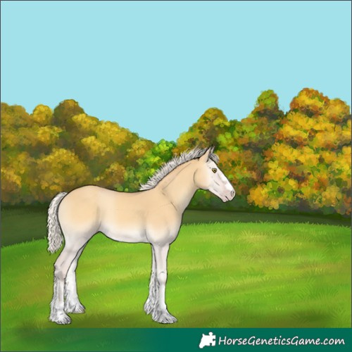 Horse Color:Silver Amber Cream Champagne Onyx Rabicano 