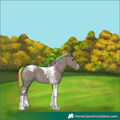 Horse Color:Painted Silver Grullo Tobiano Appaloosa Rabicano 