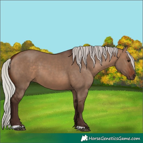 Horse Color:Silver Brown Dun 