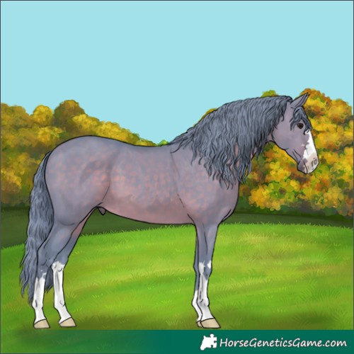 Horse Color:Watercolor Brown Dun 