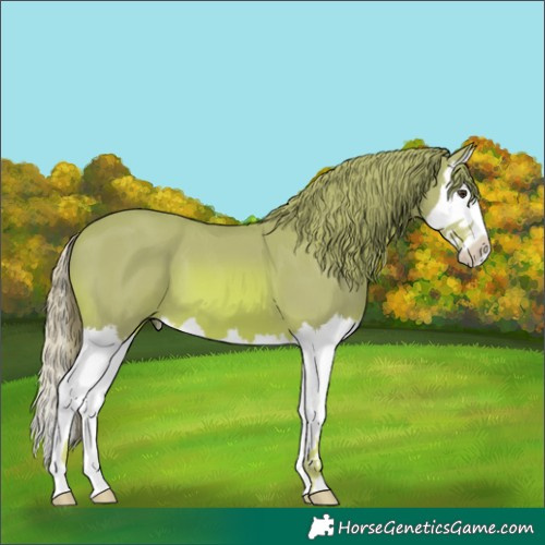Horse Color:Watercolor Chestnut Splash 