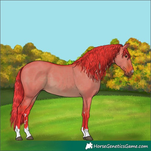 Horse Color:Watercolor Liver Red Dun 