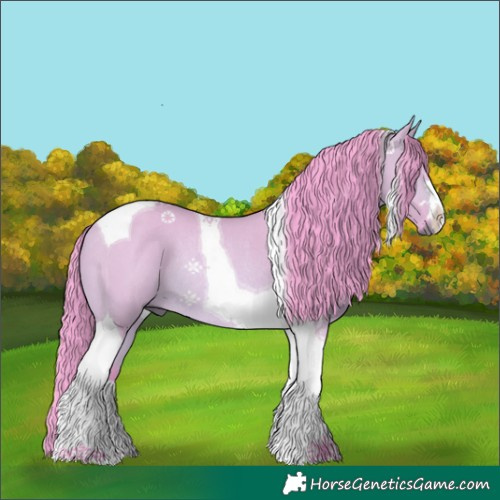 Horse Color:Watercolor Bay Dun Tobiano Rabicano 