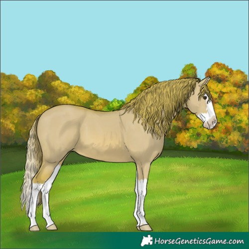 Horse Color:Watercolor Red Dun Splash 
