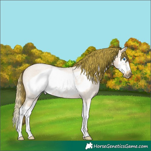 Horse Color:Watercolor Red Dun Roan Splash Frame Rabicano 