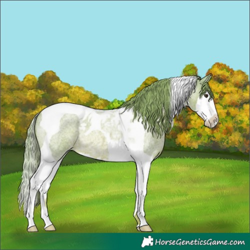 Horse Color:Watercolor Red Roan Splash Tobiano Rabicano 