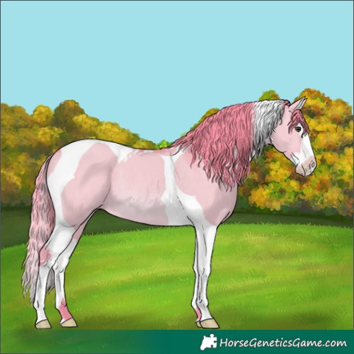 Horse Color:Watercolor Red Dun Splash Tobiano Rabicano 