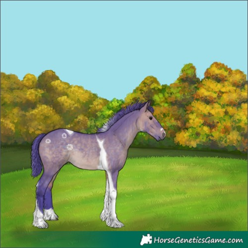 Horse Color:Watercolor Brown Dun Tobiano Rabicano 