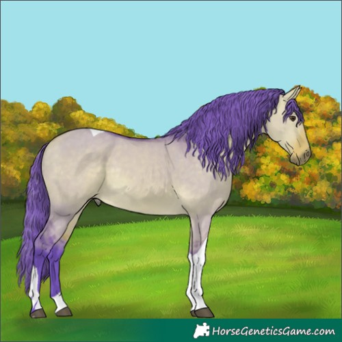 Horse Color:Watercolor Buckskin Dun Tobiano Rabicano 