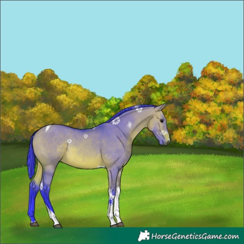 Horse Color:Watercolor Bay Dun Tobiano Rabicano 