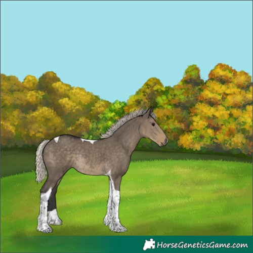 Horse Color:Silver Smoky Grullo Tobiano Rabicano 