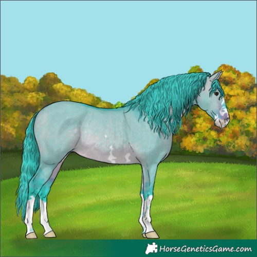Horse Color:Watercolor Brown Dun Rabicano 